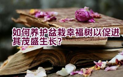 如何养护盆栽幸福树以促进其茂盛生长？