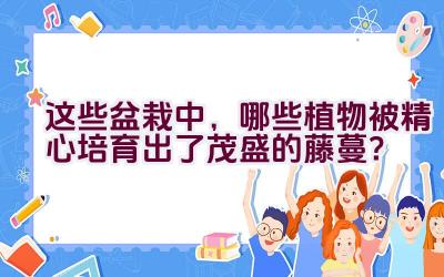 这些盆栽中，哪些植物被精心培育出了茂盛的藤蔓？