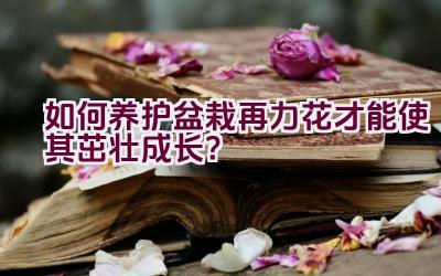 如何养护盆栽再力花才能使其茁壮成长？