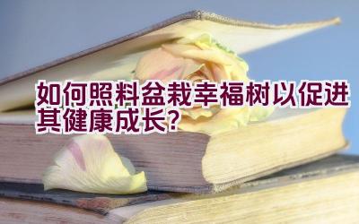 如何照料盆栽幸福树以促进其健康成长？