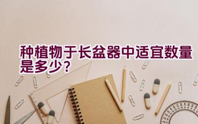 种植物于长盆器中适宜数量是多少？插图