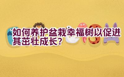 如何养护盆栽幸福树以促进其茁壮成长？