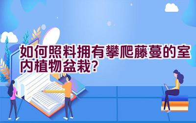 “如何照料拥有攀爬藤蔓的室内植物盆栽？”插图