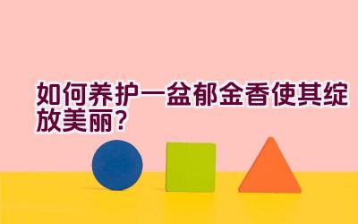 如何养护一盆郁金香使其绽放美丽？插图