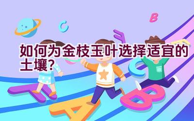 如何为金枝玉叶选择适宜的土壤？插图