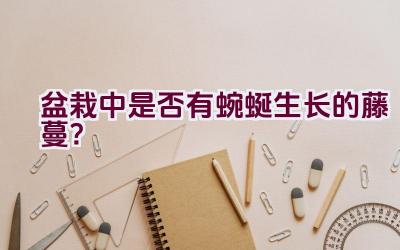 盆栽中是否有蜿蜒生长的藤蔓？