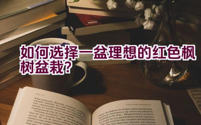 如何选择一盆理想的红色枫树盆栽？插图