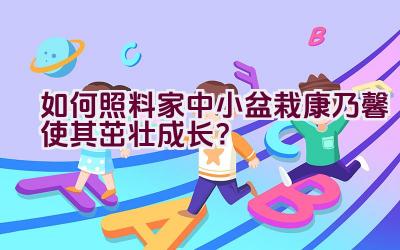 “如何照料家中小盆栽康乃馨使其茁壮成长？”