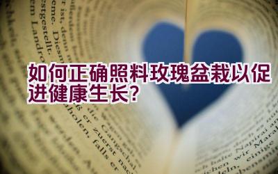 如何正确照料玫瑰盆栽以促进健康生长？