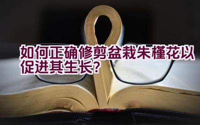 如何正确修剪盆栽朱槿花以促进其生长？