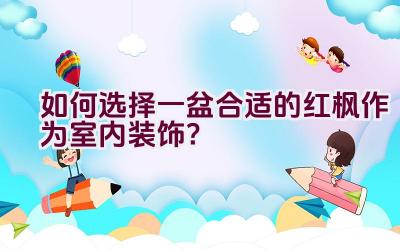 如何选择一盆合适的红枫作为室内装饰？插图