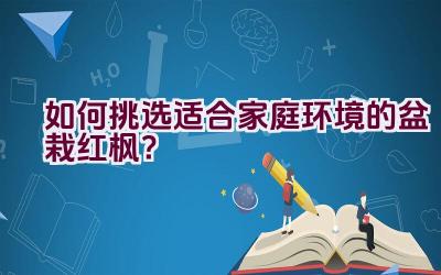 如何挑选适合家庭环境的盆栽红枫？