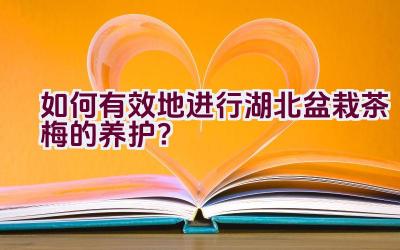 如何有效地进行湖北盆栽茶梅的养护？插图