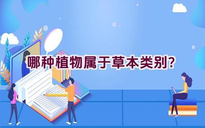 “哪种植物属于草本类别？”