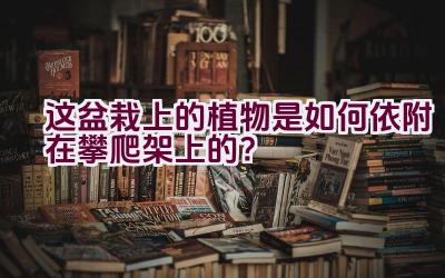 这盆栽上的植物是如何依附在攀爬架上的？