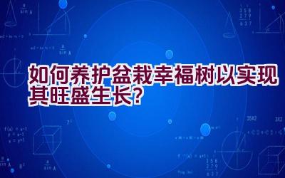 如何养护盆栽幸福树以实现其旺盛生长？插图