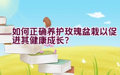 如何正确养护玫瑰盆栽以促进其健康成长？