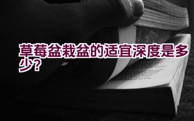 草莓盆栽盆的适宜深度是多少？