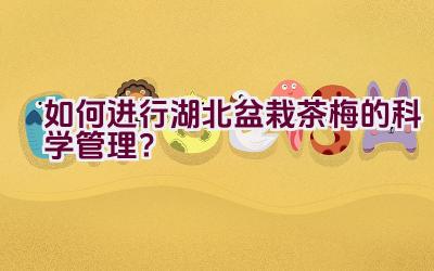 如何进行湖北盆栽茶梅的科学管理？