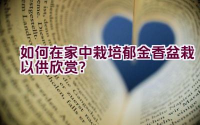 如何在家中栽培郁金香盆栽以供欣赏？插图