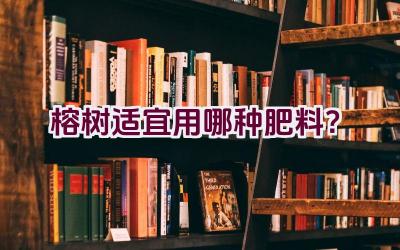 榕树适宜用哪种肥料？插图