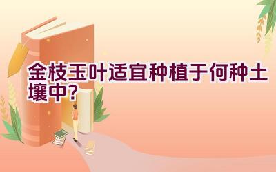 金枝玉叶适宜种植于何种土壤中？