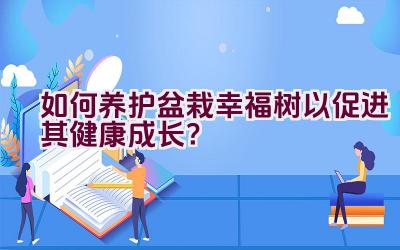 如何养护盆栽幸福树以促进其健康成长？