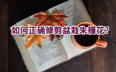 如何正确修剪盆栽朱槿花？