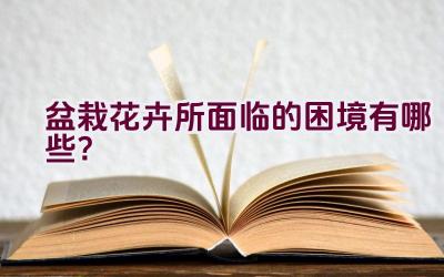 盆栽花卉所面临的困境有哪些？