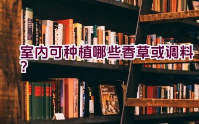 室内可种植哪些香草或调料？