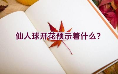 仙人球开花预示着什么?插图 仙人球开花预示着什么?插图