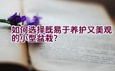 如何选择既易于养护又美观的小型盆栽？插图