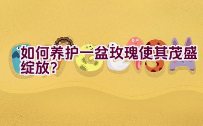 如何养护一盆玫瑰使其茂盛绽放？插图