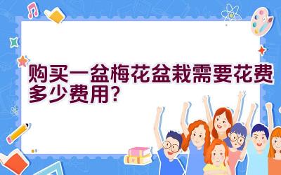 购买一盆梅花盆栽需要花费多少费用？