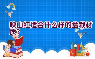 映山红适合什么样的盆栽材质？