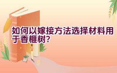 如何以嫁接方法选择材料用于香榧树？