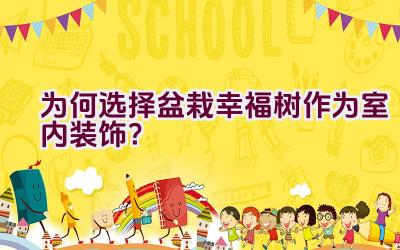 为何选择盆栽幸福树作为室内装饰？