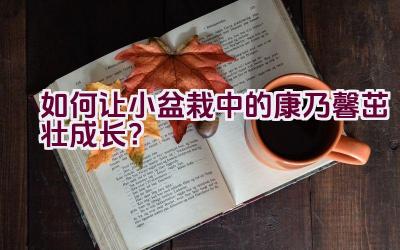 如何让小盆栽中的康乃馨茁壮成长？