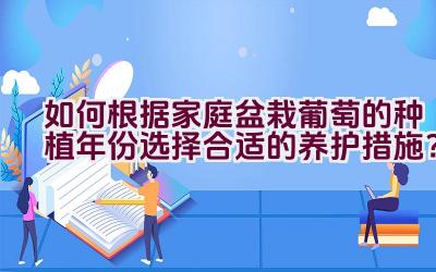 如何根据家庭盆栽葡萄的种植年份选择合适的养护措施？