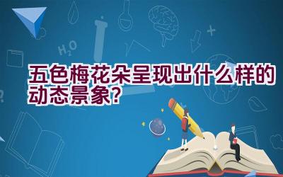 五色梅花朵呈现出什么样的动态景象？