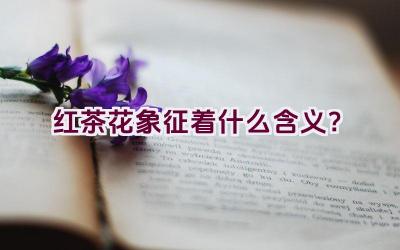 红茶花象征着什么含义？