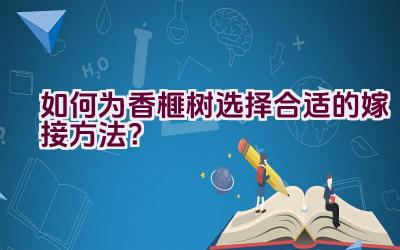 如何为香榧树选择合适的嫁接方法？