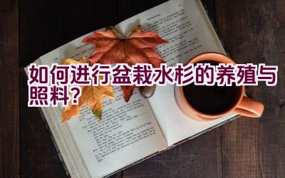 如何进行盆栽水杉的养殖与照料？