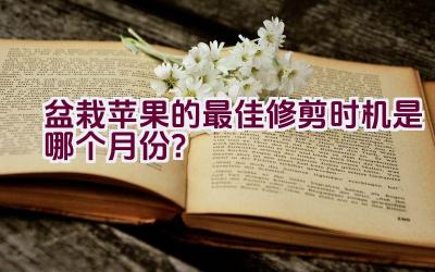 盆栽苹果的最佳修剪时机是哪个月份？插图