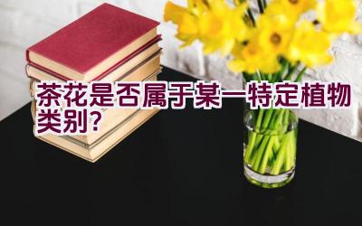 茶花是否属于某一特定植物类别？插图