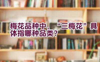 梅花品种中，“三梅花”具体指哪种品类？插图