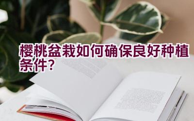 樱桃盆栽如何确保良好种植条件？