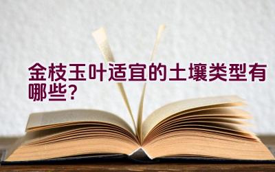 金枝玉叶适宜的土壤类型有哪些？