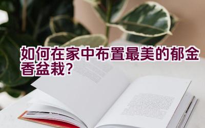 如何在家中布置最美的郁金香盆栽？