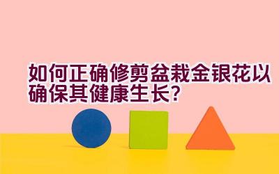 如何正确修剪盆栽金银花以确保其健康生长？